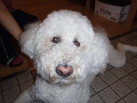 事業所の情報＿００４