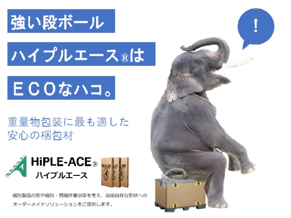 【王子グループ】紙業界大手「王子ホールディングス」のグループ企業。特化型メーカーとして半世紀の歴史があります！