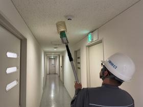 感知器確認作業