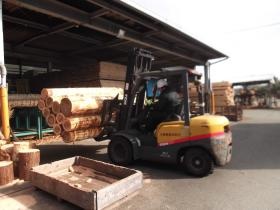 事業所の情報＿００３（加工製材所・原材料丸太）