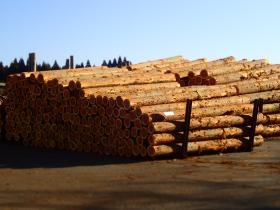 事業所の情報＿００７