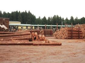 事業所の情報＿００２（素材共販所・原木はい積み）