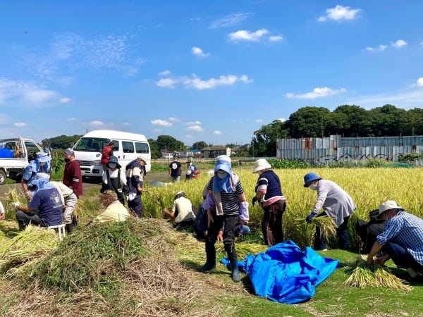 畑で取れた麦やお米でパンやお惣菜を利用者さんと一緒につくります