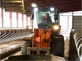 牛の健康と乳量にも影響する牛舎の衛生管理は重要なお仕事