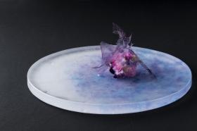 オリジナル商品例 ソラとミズ