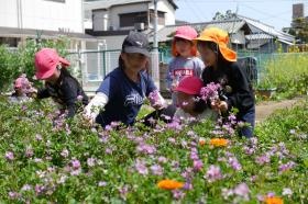 運動場のほかに公園のような花広場と菜園があります