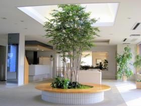 Ｈ３５００ｍｍトネリコ特注人工樹木