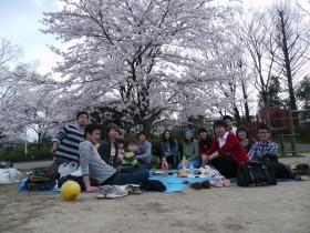 京都エリアでのお花見パーティの様子