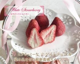 主力商品のホワイトストロベリー、世界初の染み込みスイーツ