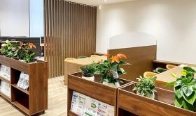 店舗ショールーム