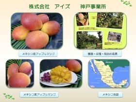 事業所の情報＿００４