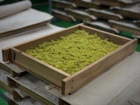 種こうじの完成品