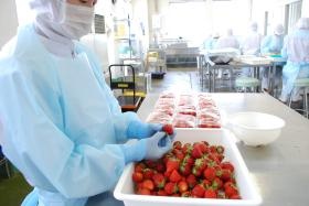 果実の前処理作業