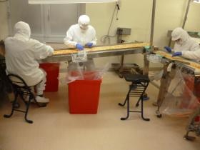 乾燥後は人の目と機械の目で選別し、良い物だけをお届けします。