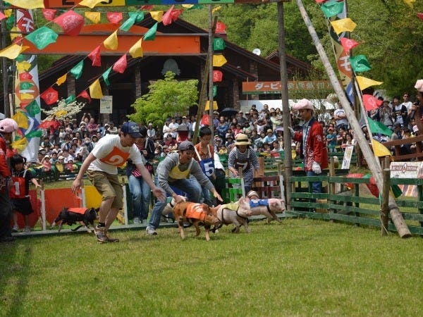 モクモクダービーなどイベント補助のお仕事など珍しいお仕事もありますよ♪