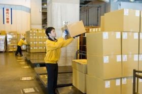 業務員の荷物仕分け作業の様子です。