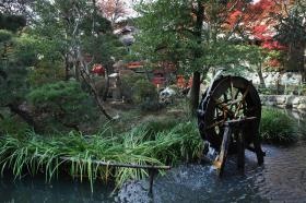 園庭にはお池もあり、自然豊かな環境です。