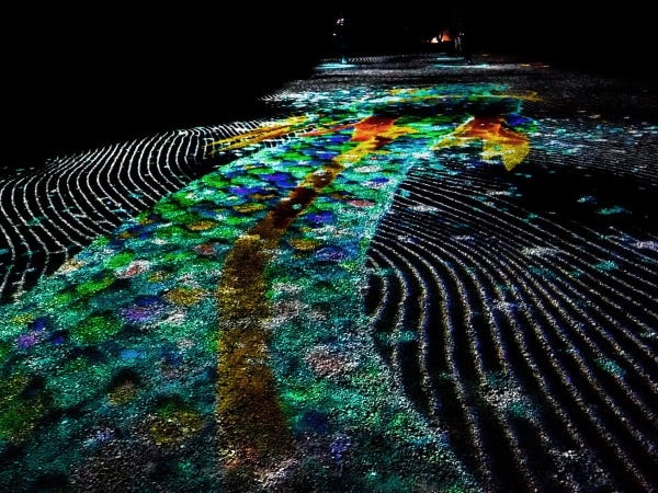 国内最大級のインタラクティブランドプロジェクションや、京都の名店の食を楽しめる没入型アート体験イベント「ワントゥーテン 二条城夜会」を開催。