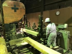 原木を製材してます