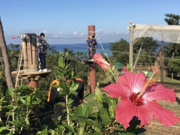 景色は抜群のロケーション！