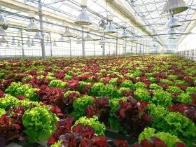 事業所の情報＿００３