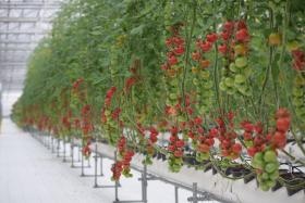 事業所の情報＿００４