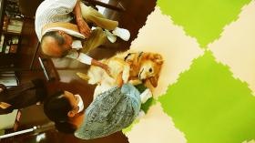 ドッグセラピー