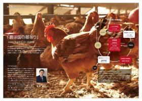 パンフレット２