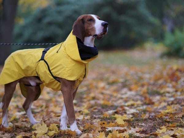 社長補佐・経営アシスタント