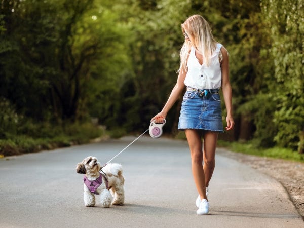 主力商品の伸縮リード「フレキシ」世界でも日本国内でも最大シェアを持っています。