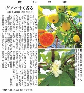 高知新聞に取り上げられました（花咲き実る）
