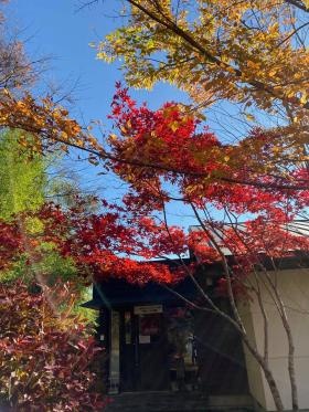 秋には紅葉する事務所外観（広い駐車場あり）