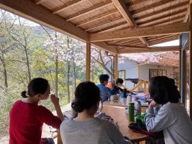 春には桜を見ながらの昼食風景