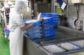 豆腐を冷水槽につけ込んでいる作業風景