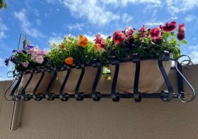 フラワーバルコニー