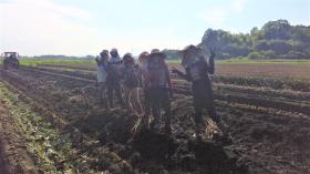 ごぼう収穫の合間にパシャリ！実習生元気！いつもありがとう！