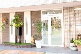 事務所入口。たくさんのグリーンで癒されながら仕事ができます。