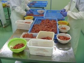 事業所の情報＿００３