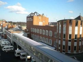 エバーグリーン・イズミ