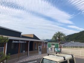 幼保連携型認定こども園 青空保育園