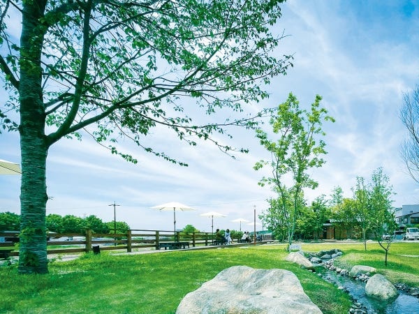 広報（普通自動車運転免許・AT限定可）