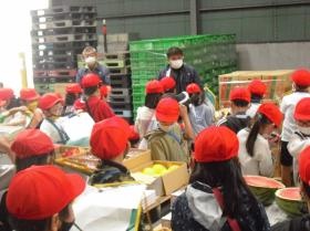 地元小学生から市場見学を受けています