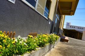 季節折々の花がいつも咲いています。