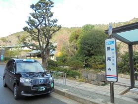 勝尾寺にお迎え