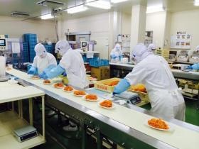 衛生的な工場で作られた惣菜はヤマザワ各店で販売中です