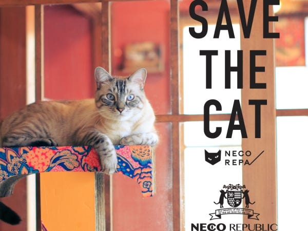 猫シェルター管理スタッフ・保護猫シェルターの管理スタッフ（都内での車の運転可能な方優遇）