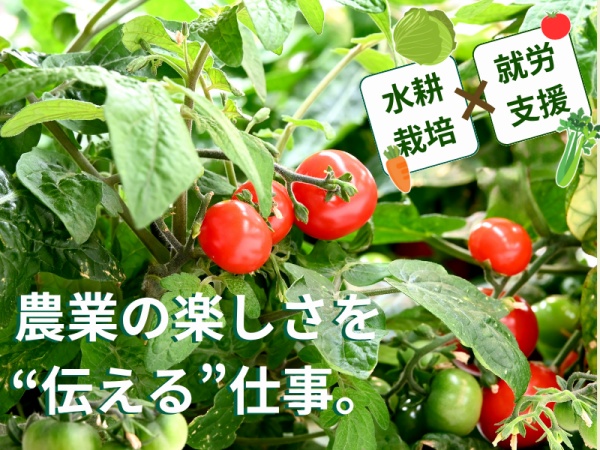 就労支援施設でのファームサポーター・就労支援施設で農業の楽しさを伝えるファームサポーター（普通自動車運転免許・AT限定可）