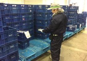 冷蔵庫内でのピッキング作業