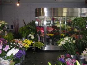 事業所の情報＿００１