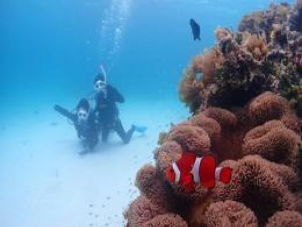 休むときはしっかり休みます！旅行好きな仲間は集まっていく事も♪